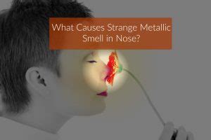 what causes a metallic smell in house|metallic smell in bathroom.